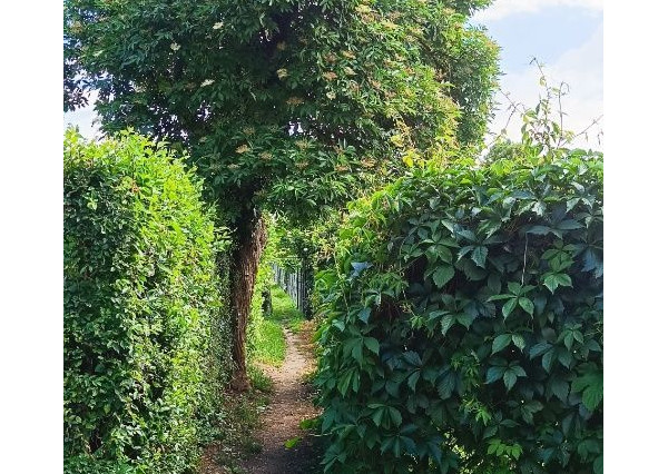 ARETÉ REAL- Predaj 4 izbového rodinného domu vo Svätom Jure, parkovacie miesto, záhrada, kúpou voľný