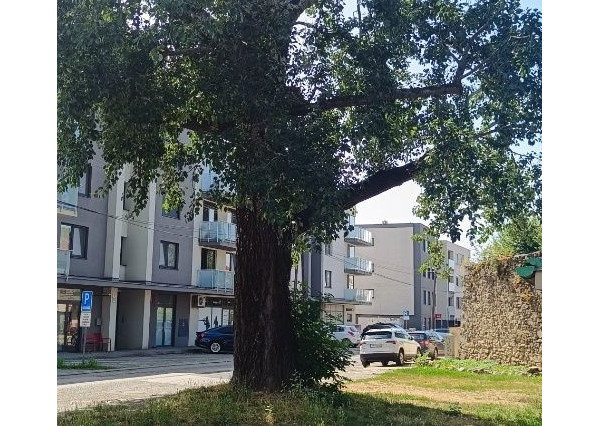 ARETÉ REAL - PREDAJ TEHLOVÉHO, SLNEČNÉHO 2-IZ.BYTU S VEĽKORYSOU VÝMEROU,CENTRUM MESTA PEZINOK