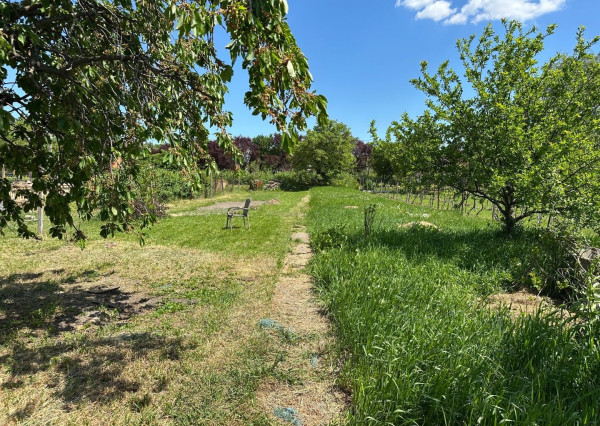 ARETÉ REAL – PREDAJ STAVEBNÉHO POZEMKU S VINOHRADNÍCKYM  DOMOM A NEBYTOVOU BUDOVOU V CENTRE MODRY, ŠTÚROVA