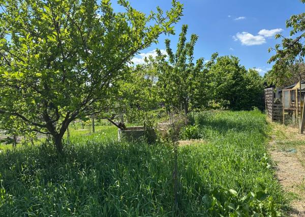 ARETÉ REAL – PREDAJ STAVEBNÉHO POZEMKU S VINOHRADNÍCKYM  DOMOM A NEBYTOVOU BUDOVOU V CENTRE MODRY, ŠTÚROVA