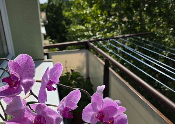 Arete real-Predaj priestranného 3-izbového  bytu s nádherným výhľadom na Malé Karpaty v zateplenom tehlovom bytovom dome, Bratislava,  Pri Bielom kríži