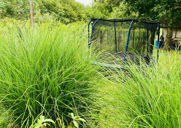 Areté real - Predaj nádhernej chaty s príjemnou atmosférou v krásnom prostredí pod lesom, s panoramatickým výhľadom, Bratislava III