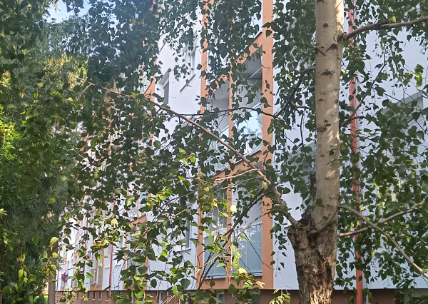 ARETÉ REAL-Predaj 2 izbového tehlového bytu v PEZINKU, centrum na skok, murovaná pivnica 8m2