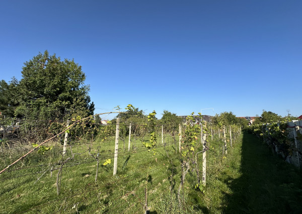 ARETÉ REAL - PRIPRAVUJEME PREDAJ 2160 m2 STAVEBNÉHO POZEMKU, STUPAVA, RÍMSKA