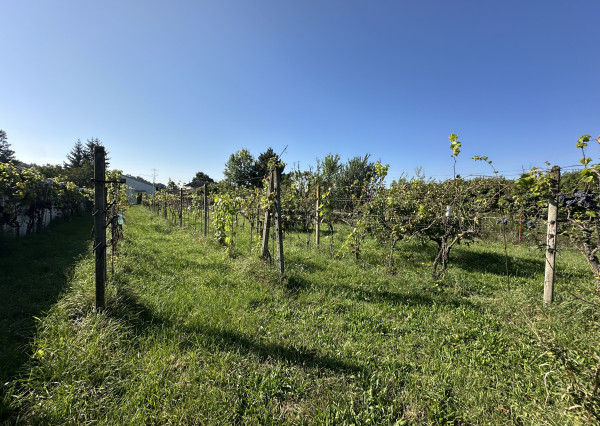 ARETÉ REAL - PRIPRAVUJEME PREDAJ 2160 m2 STAVEBNÉHO POZEMKU, STUPAVA, RÍMSKA