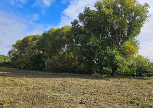 Areté real - Predaj jedinečného pozemku pri vode a pod lesom v atraktívnej lokalite, Pezinok- Rozálka