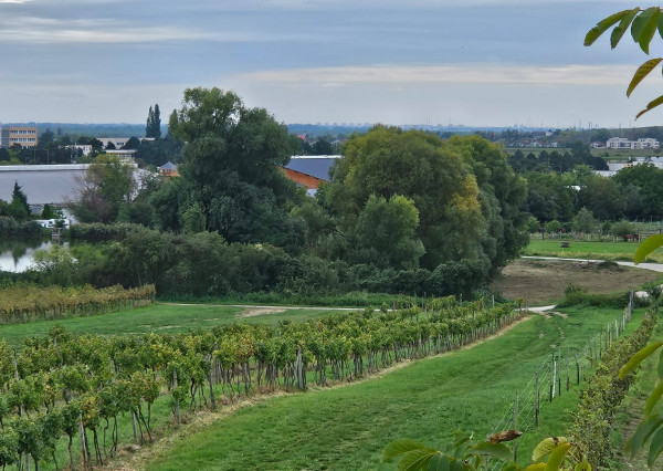 Areté real - Predaj jedinečného pozemku pri vode a pod lesom v atraktívnej lokalite, Pezinok- Rozálka