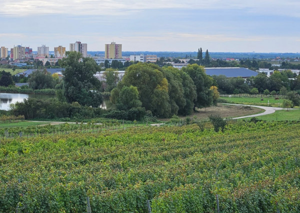 Areté real - Predaj jedinečného pozemku pri vode a pod lesom v atraktívnej lokalite, Pezinok- Rozálka