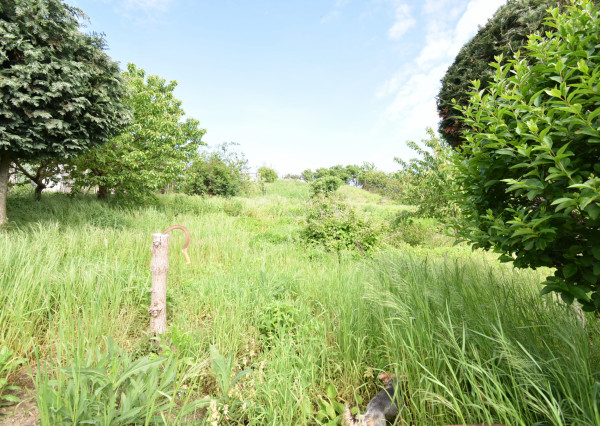 Areté real - predaj priestranného RD v Grinave