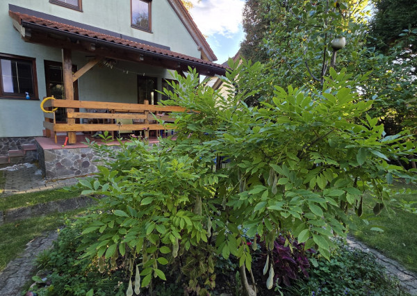 Areté real, Predaj dvojpodlažného rodinného domu s terasou, garážou a krásnou záhradou v blízkosti centra Pezinka, ul. Senecká