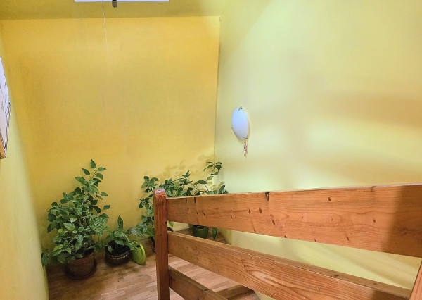 Areté real, Predaj dvojpodlažného rodinného domu s terasou, garážou a krásnou záhradou v blízkosti centra Pezinka, ul. Senecká