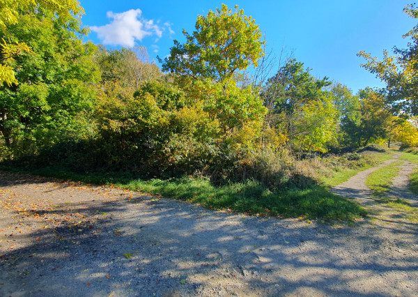 Areté real- Predaj pozemku 716m2 s možnosťou výstavby chaty.