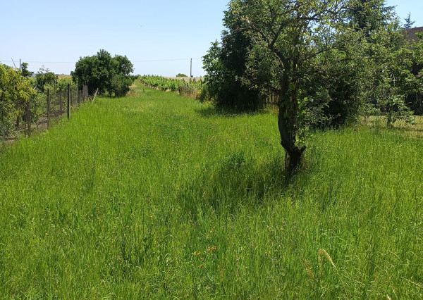 Areté real- Ponúkame na predaj rodinného domu v tichej časti Častej – ideálne na rekonštrukciu alebo novú výstavbu