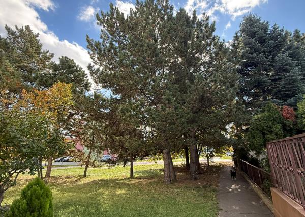 Areté real - Predaj slnečného tehlového 3-izbového bytu s 2 loggiami a s nádherným výhľadom, Trnavská ul., Pezinok