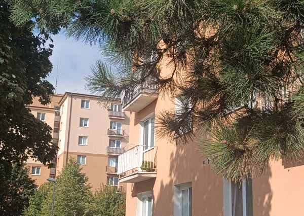 ARETÉ REAL- PRENÁJOM TEHLOVÉHO 1IZB.BYTU V PEZINKU, BLÍZKE CENTRUM, SLNEČNÝ S MUROVANOU KOMOROU