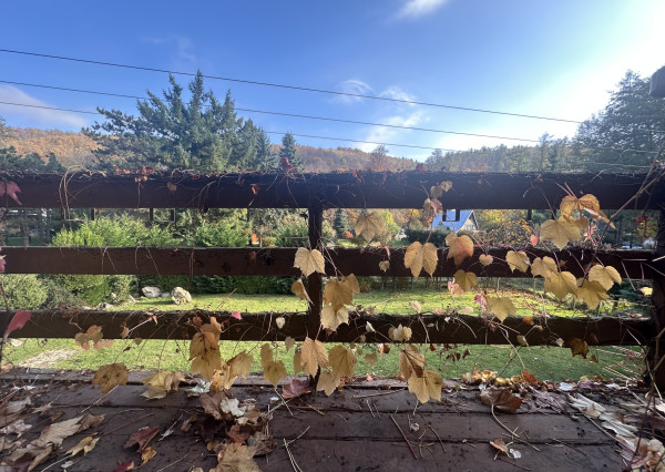 ARETÉ REAL – DOM ALEBO CHATU VHODNÚ AJ NA CELOROČNÉ BÝVANIE, PEZINOK, STUPY