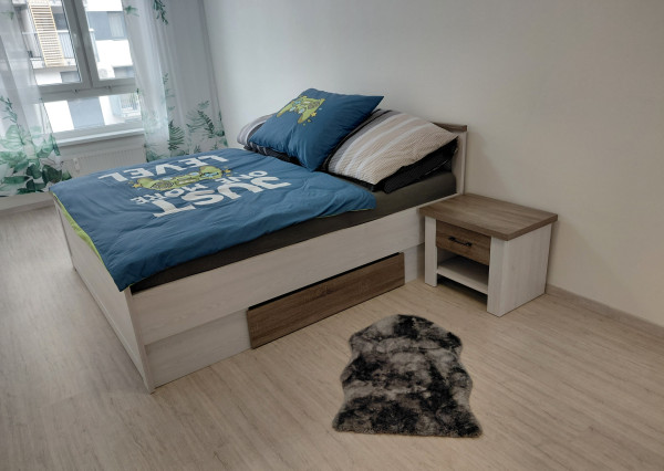 ARETÉ REAL- PRENÁJOM KRÁSNEHO 2 IZ.BYTU, TRNAVSKÁ CESTA-JÉGÉHO ALEJ, VNÚTORNÉ PARKOVACIE STÁTIE , ZARIADENÝ