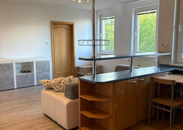 Priestranný 2-izbový byt, loggia, Nivy, 54 m2, vlastný kotol