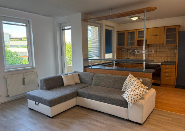 Priestranný 2-izbový byt, loggia, Nivy, 54 m2, vlastný kotol
