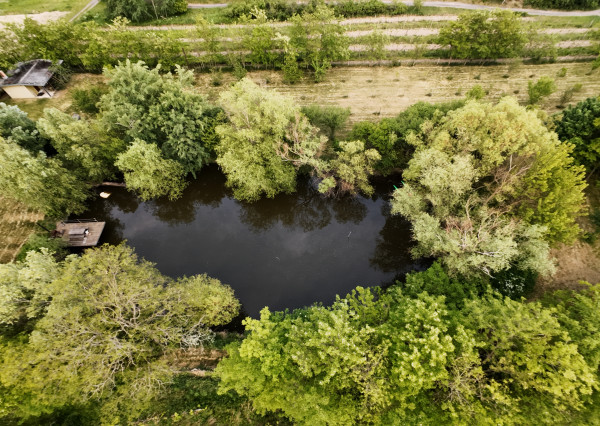 ARETÉ REAL – PREDAJ ORLIEHO JAZIERKA S OČARUJÚCIM POZEMKOM A VINICOU V MODRE, ČASŤ ŠARKAPERKY