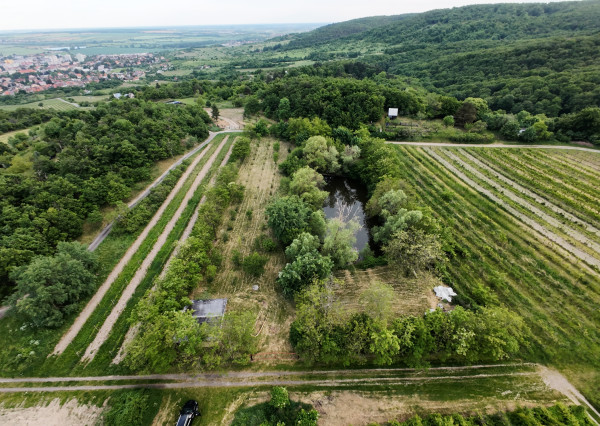 ARETÉ REAL – PREDAJ ORLIEHO JAZIERKA S OČARUJÚCIM POZEMKOM A VINICOU V MODRE, ČASŤ ŠARKAPERKY