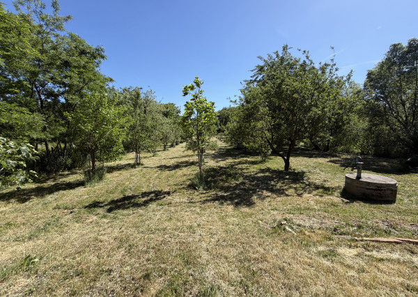 ARETÉ REAL – PREDAJ ORLIEHO JAZIERKA