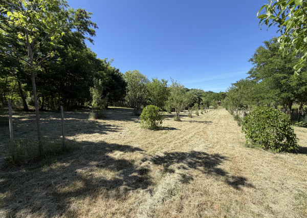 ARETÉ REAL – PREDAJ ORLIEHO JAZIERKA
