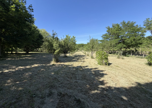 ARETÉ REAL – PREDAJ ORLIEHO JAZIERKA