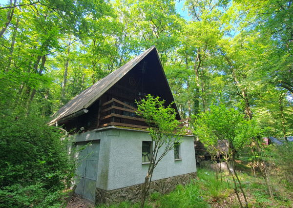 Areté real - Predaj chaty v Kučišdorfskej doline.