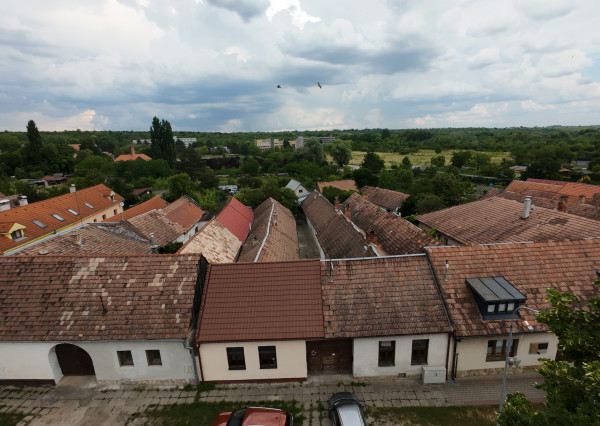 ARETÉ REAL – PREDAJ 2 VINÁRSKYCH RODINNÝCH DOMOV S 2 NEBYTOVÝMI BUDOVAMI V CENTRE MODRY, DOLNÁ