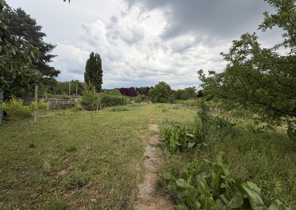 ARETÉ REAL – PREDAJ 2 VINÁRSKYCH RODINNÝCH DOMOV S 2 NEBYTOVÝMI BUDOVAMI V CENTRE MODRY, DOLNÁ