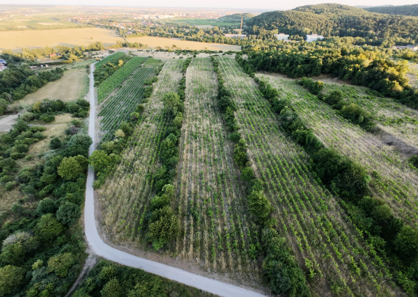 ARETÉ REAL – PREDAJ 3529m2 VINICE, PEZINOK, STARÁ HORA