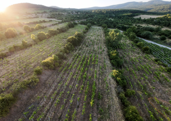 ARETÉ REAL – PREDAJ 3529m2 VINICE, PEZINOK, STARÁ HORA