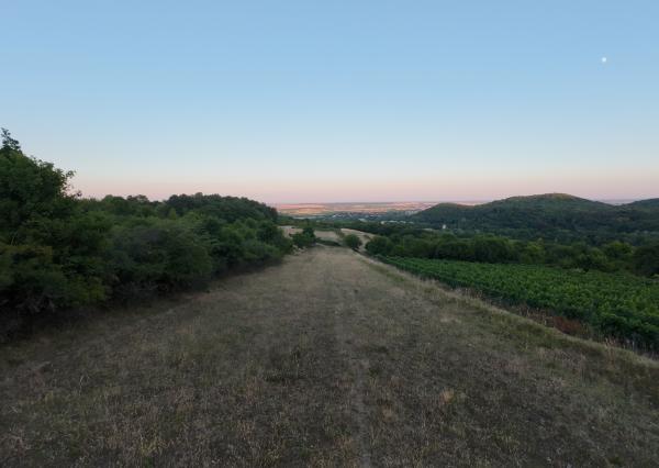 ARETÉ REAL – PREDAJ 3892m2 VINICE, PEZINOK, STARÁ HORA