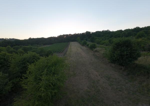 ARETÉ REAL – PREDAJ 3892m2 VINICE, PEZINOK, STARÁ HORA