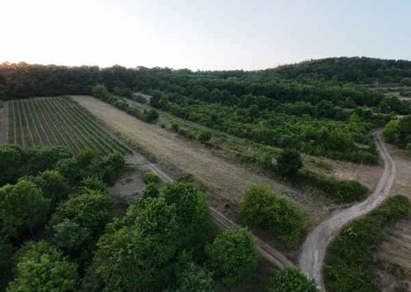 ARETÉ REAL – PREDAJ 3892m2 VINICE, PEZINOK, STARÁ HORA