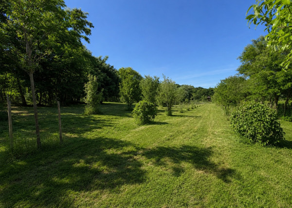 ARETÉ REAL – PREDAJ ORLIEHO JAZIERKA