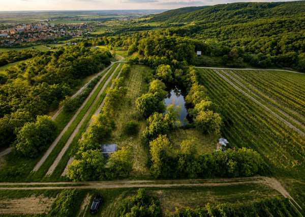 ARETÉ REAL – PREDAJ ORLIEHO JAZIERKA