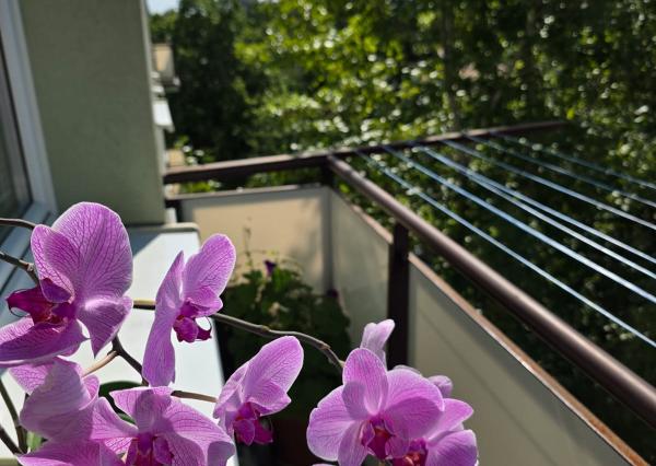 ARETÉ REAL – PREDAJ Priestranný 3-izbový byt s výhľadom na Malé Karpaty v zateplenom tehlovom dome – Bratislava, Pri Bielom kríži