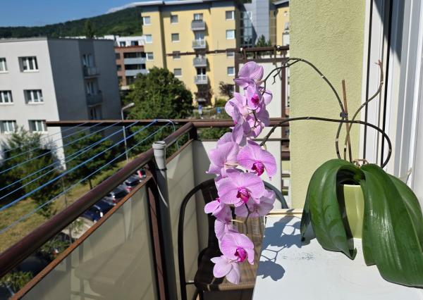 ARETÉ REAL – PREDAJ Priestranný 3-izbový byt s výhľadom na Malé Karpaty v zateplenom tehlovom dome – Bratislava, Pri Bielom kríži