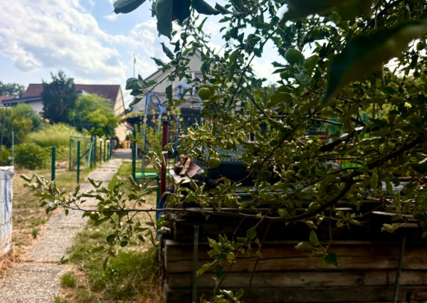 PONÚKAME NA PREDAJ 6 IZBOVÝ RODINNÝ DOM V MALEBNEJ DEDINKE ŠENKVICE. SLNEČNÝ POZEMOK S VEĽKORYSOU VÝMEROU, DETSKÝM IHRISKOM