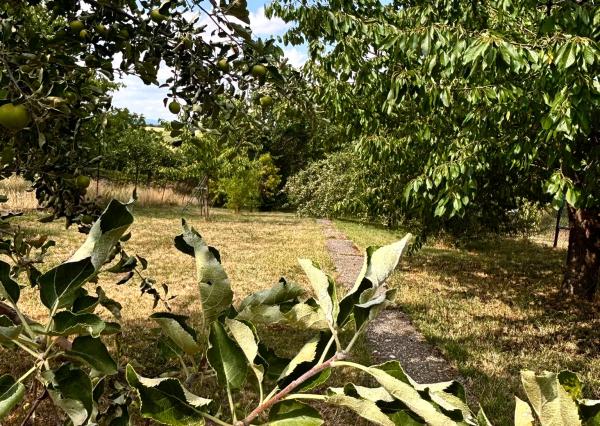 PONÚKAME NA PREDAJ JEDINEČNÝ RODINNÝ DOM V MALEBNEJ DEDINKE ŠENKVICE. SLNEČNÝ POZEMOK S VEĽKORYSOU VÝMEROU, DETSKÝM IHRISKOM