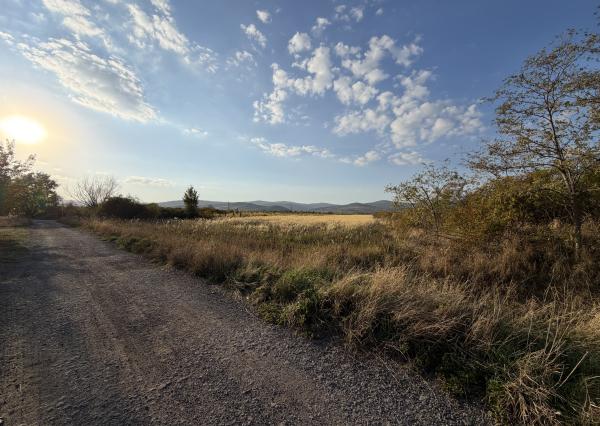arete.sk - 7325m2 STEVEBNÝ POZEMOK PRE RODINNÝ DOM, VINOSADY, MUŠKÁTOVÁ