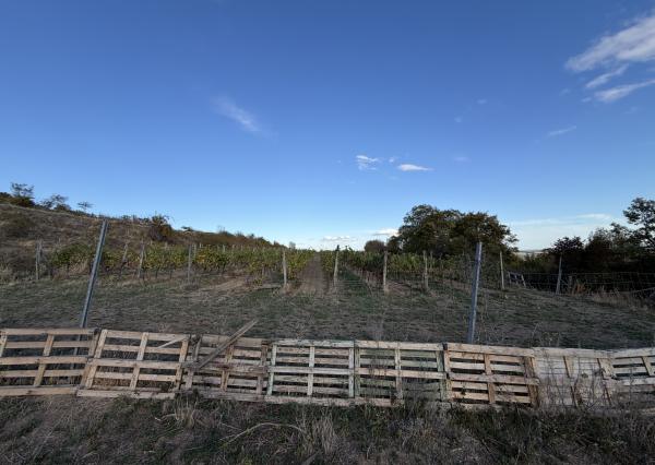 arete.sk – PREDAJ 3012m2 VINICE, PEZINOK, STARÁ HORA
