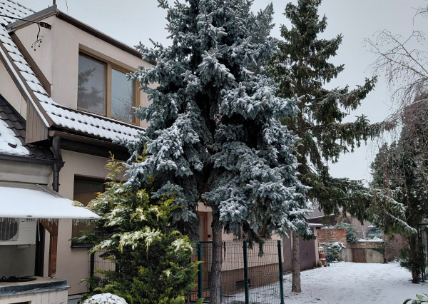 ARETÉ REAL- Predaj zaujímavého 4 izb. rodinného domu vo Svätom Jure, pekný, priestranný s výmerou 139m2, Bratislavská ulica. Kúpou voľný.