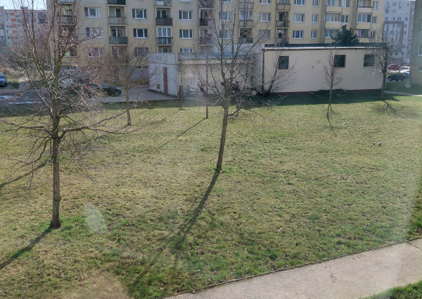 Areté real-prenájom slnečného 1izb. bytu s loggiou, pivnicou v Pezinku na sídlisku Sever