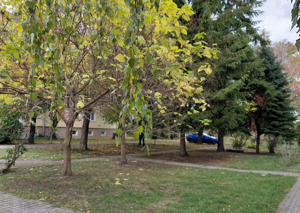 ARETÉ REAL-PREDAJ 2 IZBOVÉHO BYTU V PEZINKU, SLNEČNÝ, PRIESTRANNÝ, REKONŠTRUKCIA-CENTRUM