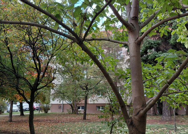 ARETÉ REAL-PREDAJ 2 IZBOVÉHO BYTU V PEZINKU, SLNEČNÝ, PRIESTRANNÝ, REKONŠTRUKCIA-CENTRUM