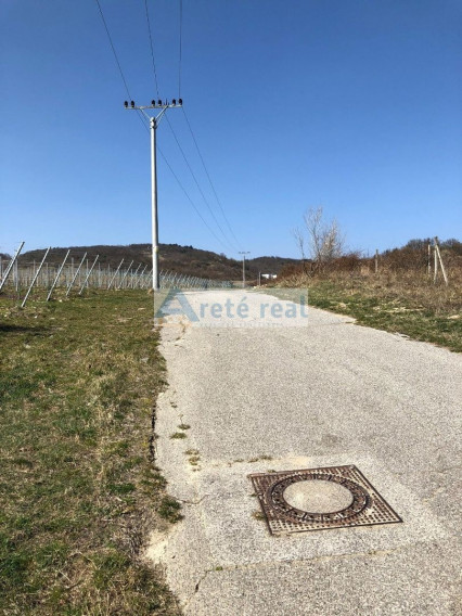 Areté real - Predaj vinice v Modre pri Kalvárii
