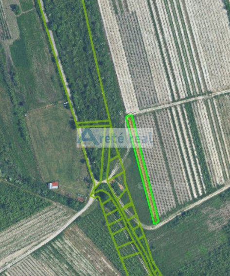 Areté real - Predaj pozemku - druh vinica v Modre